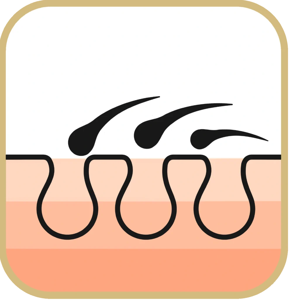 4-7week eroskare_IPL_melanin_absorb. ErosKare依洛絲脈衝光除毛機 光能被毛囊黑色素吸收 抑制毛髮再生