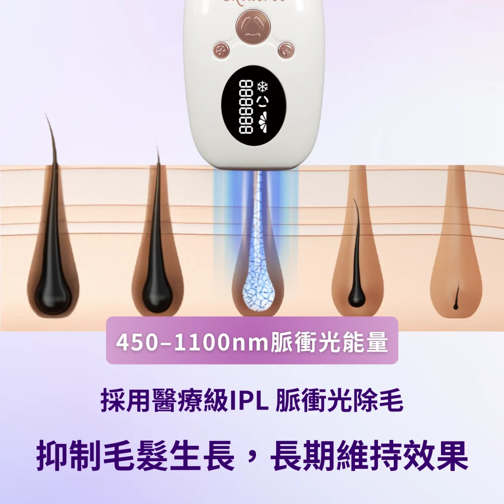 ErosKare依洛絲脈衝光除毛機 除毛步驟一 IPL光深入毛囊原理示意